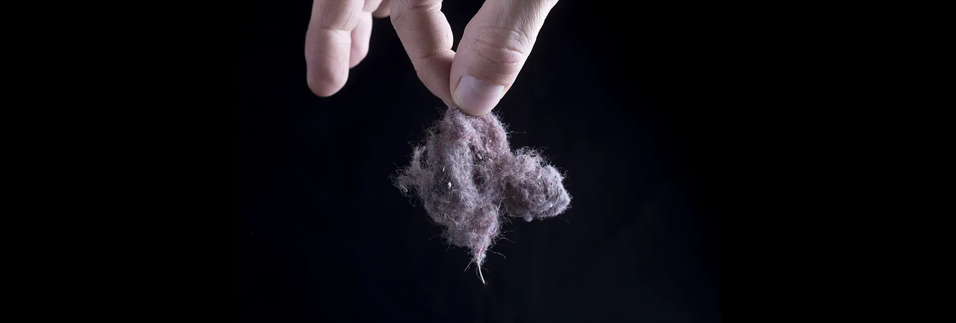 Dust bunnies are what happen to unattended websites
