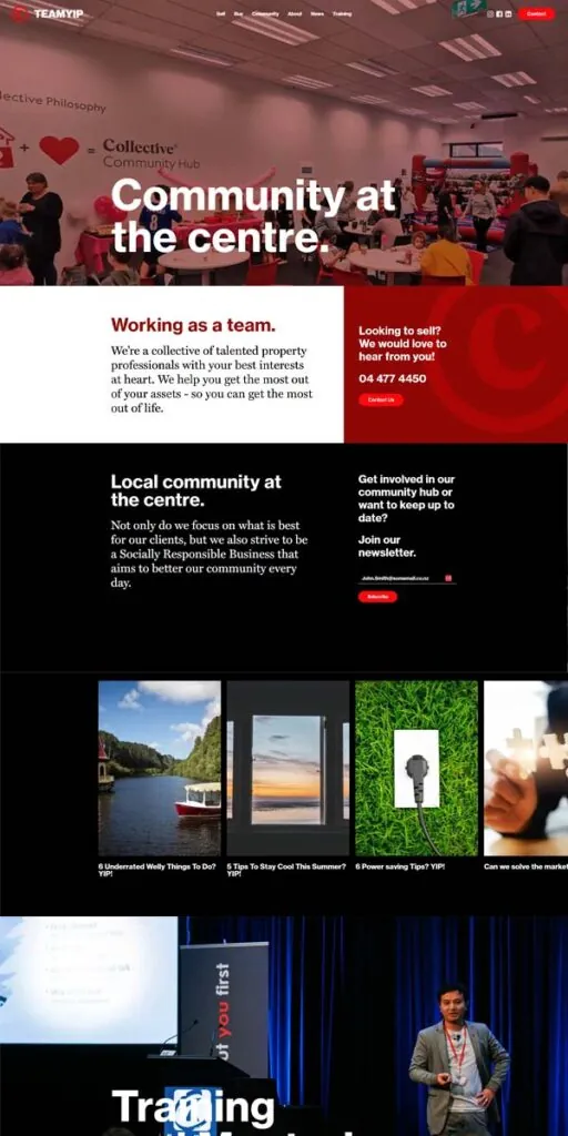 Team YIP website screenshot